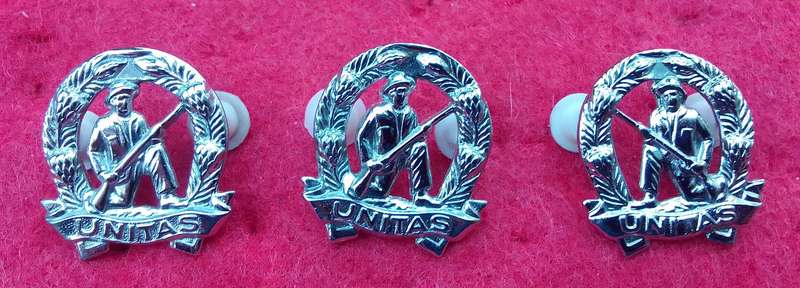 Lot of Commando Cap & Collar Badges
