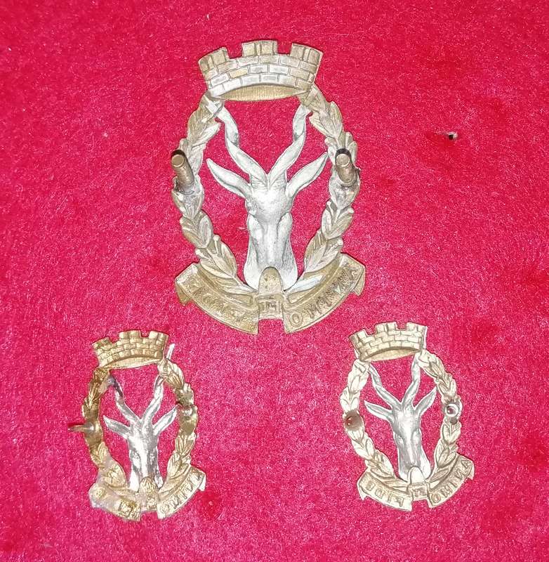 Regt. South West Africa / Regt. Windhoek cap & collar