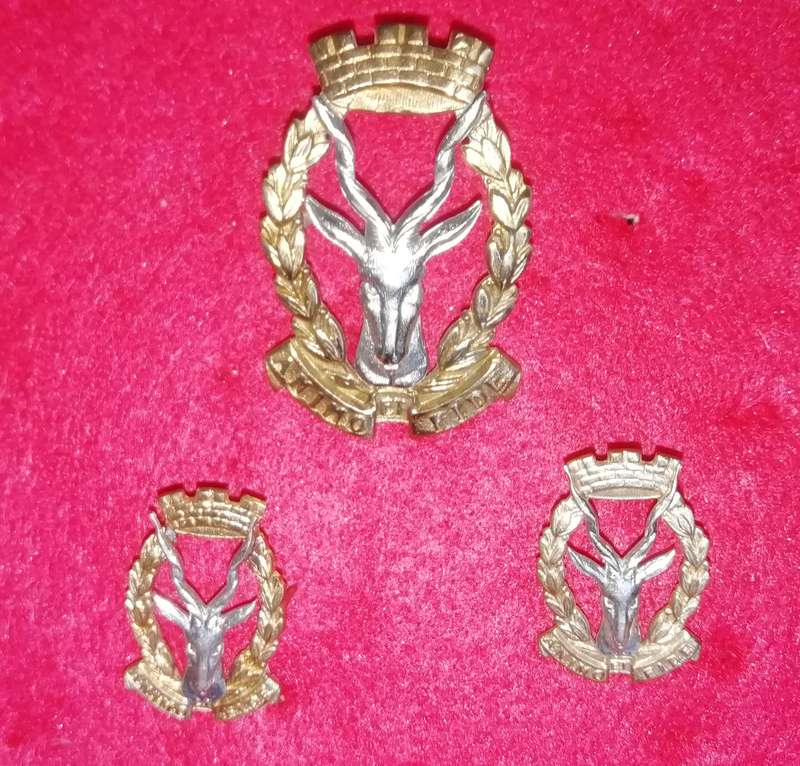 Regt. South West Africa / Regt. Windhoek cap & collar