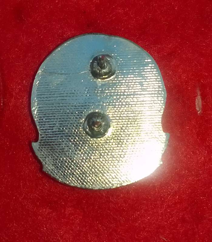 31 BATTALION BERET BADGE-APPROVED IN 1990- 2 PINS