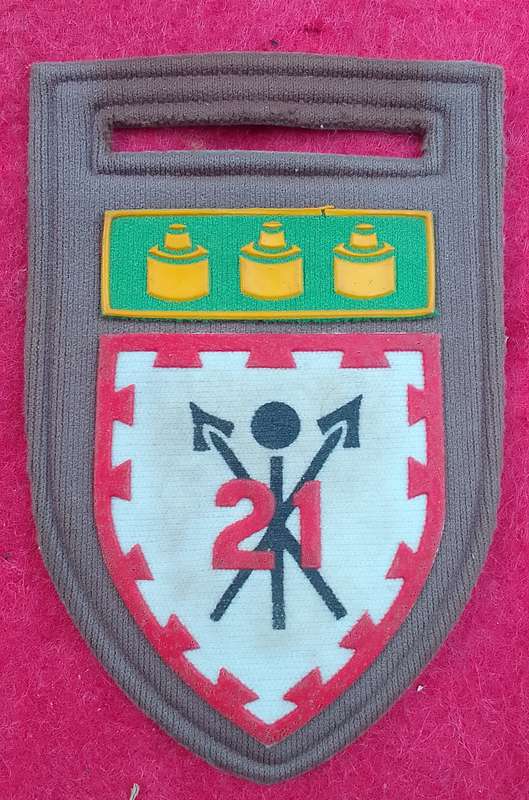21 BATTALION TUPPER FLASH-NO PIN