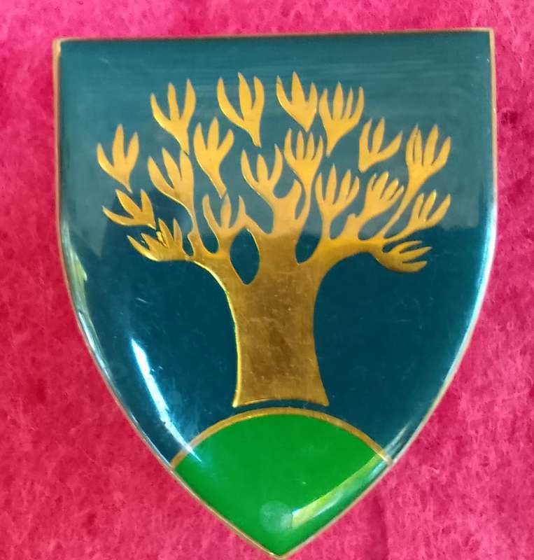 SWATF KEETMANSHOOP COMMANDO SHOULDER FLASH