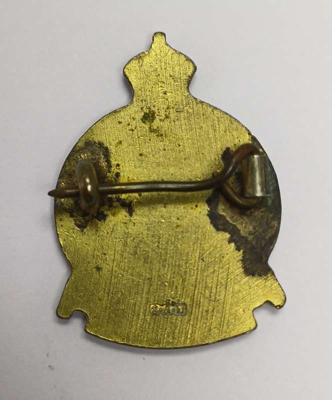 Rare Rhodesia, The British Empire Services League Pin Badge