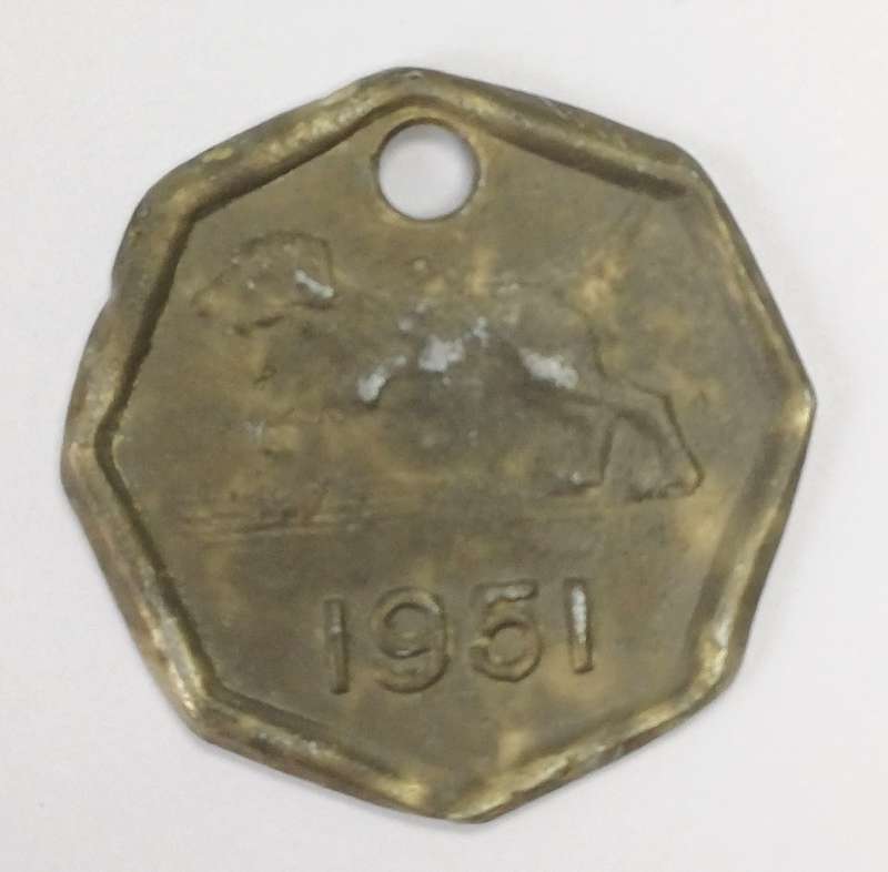 Nelspruit 1951 Dog Tag
