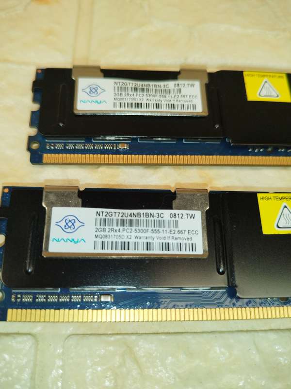 Nanya 2gb Pc2 server ram x 2