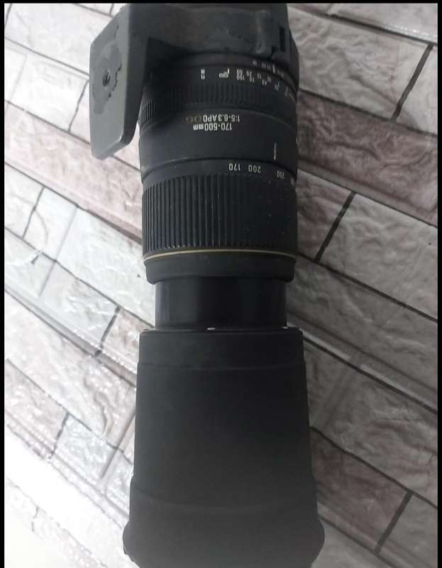 Sigma 170mm - 500mm Lens