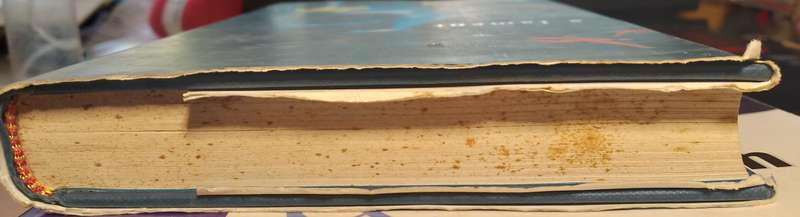 Man of Mango - Lucy Ellmann (1st Edition HC)