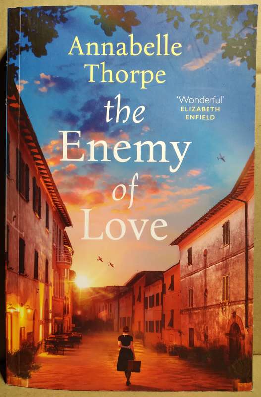 The Enemy of Love - Annabelle Thorpe (Large Paperback)