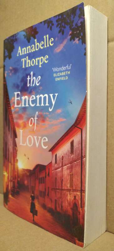 The Enemy of Love - Annabelle Thorpe (Large Paperback)