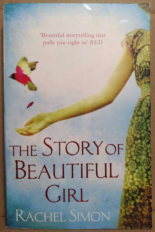 The Story of Beautiful Girl - Rachel Simon