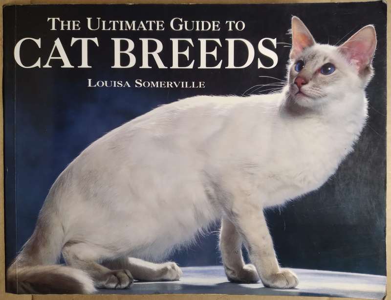 The ultimate Guide to Cat Breeds - Louisa Somerville