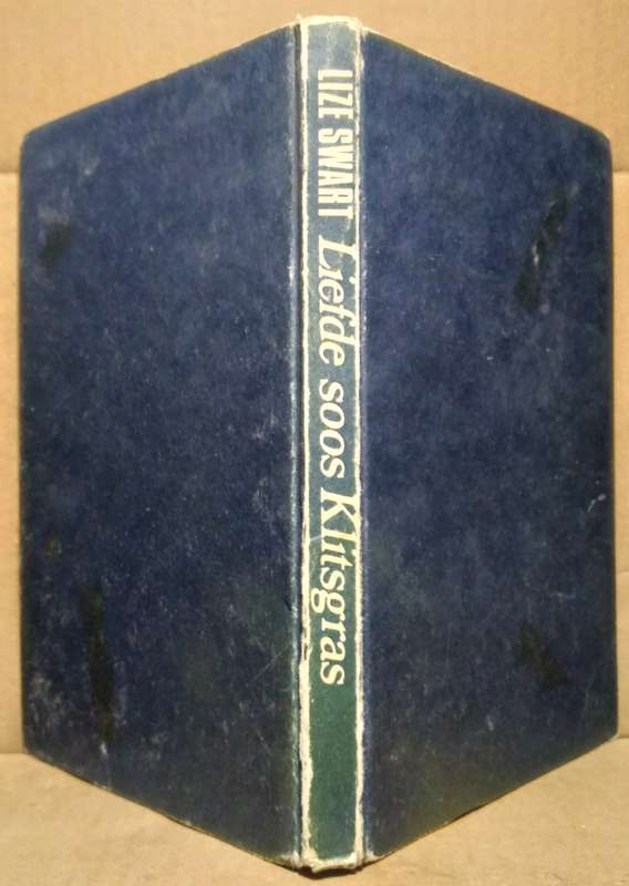 Liefde soos klitsgras - Lize Swart