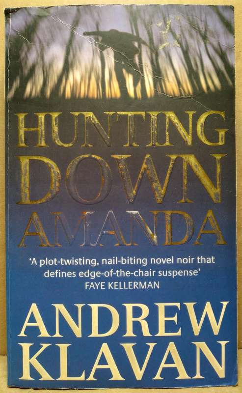Hunting down Amanda - Andrew Klavan