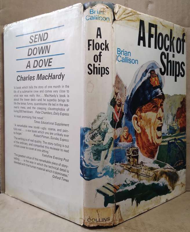 A Flock of Ships - Brian Callison