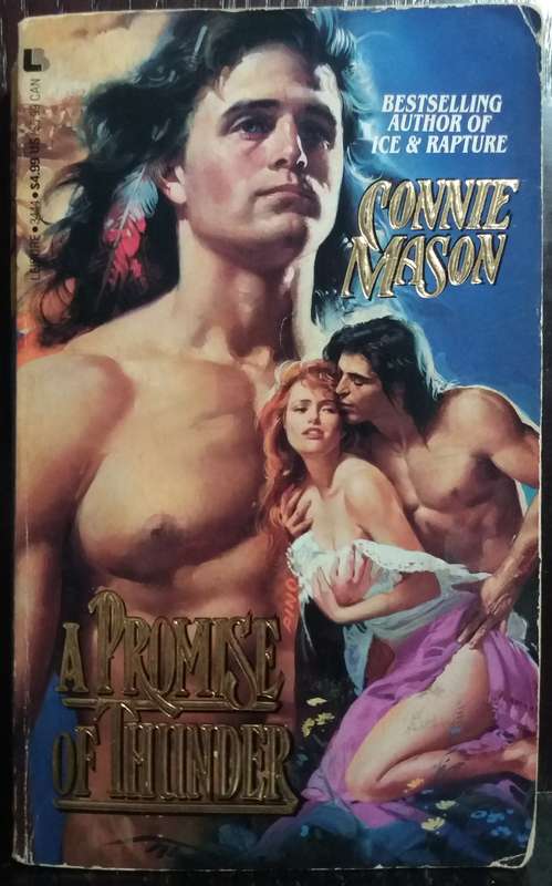 A Promise of Thunder - Connie Mason