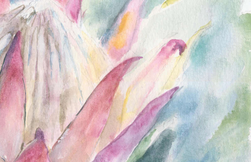 `PROTEA 2`
