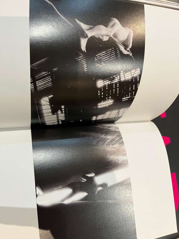 The Mammoth Book of Gorgeous guys. Erotic Photography book