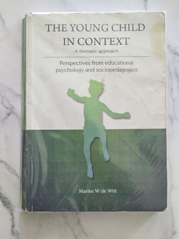 The young child in context by Marike W de Witt
