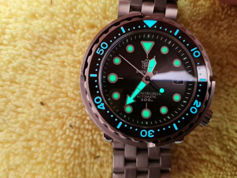 Steeldive automatic dive watch working