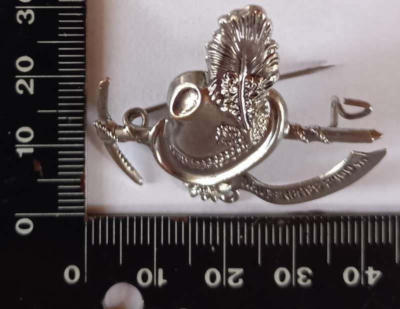 Switzerland Antique Pin Brooch Hat with a pickaxe,peacock feather,silver tone metal Brooch