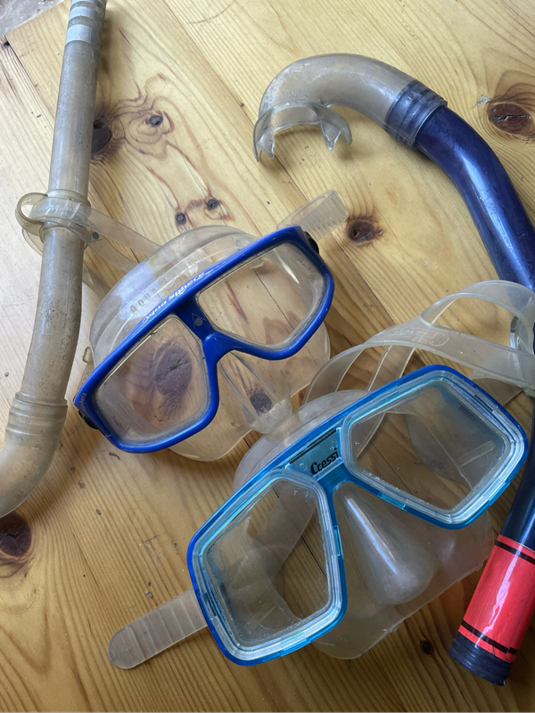 Snorkel