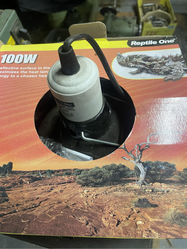 Heat Lamp