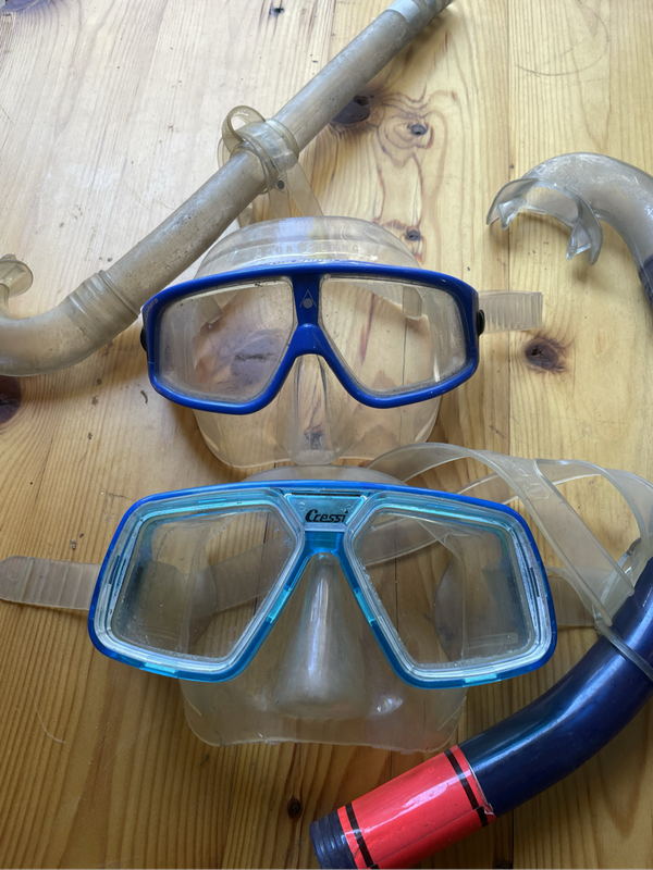 Snorkel