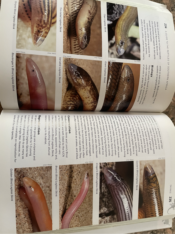 Book - a guide to the Reptiles of Southern Africa