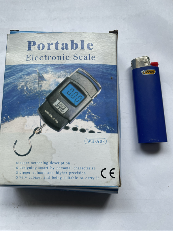 Portable electronic scale