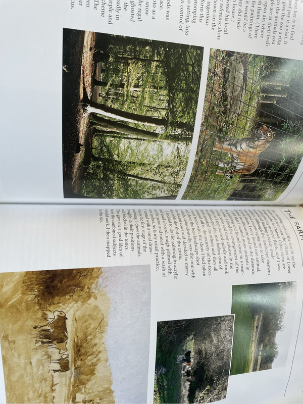 Book - How to paint from photographs
