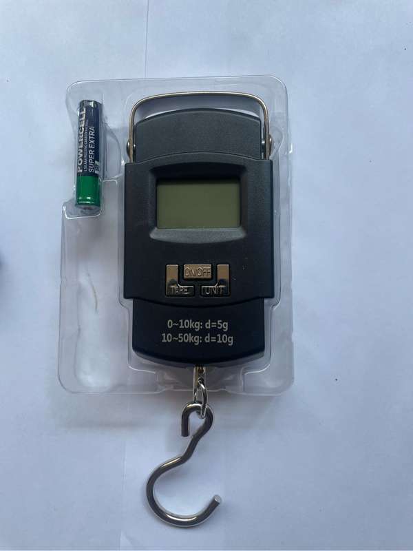 Portable electronic scale