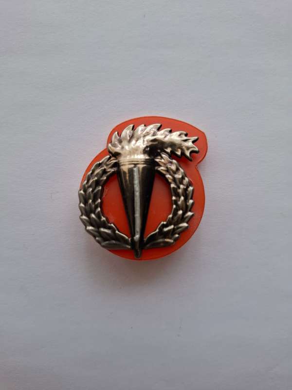 SADF - Pathfinder proficiency metal badge