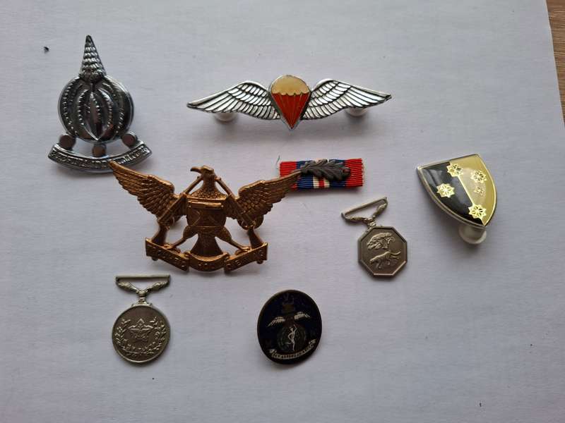 SADF / WW2 metal badges collection