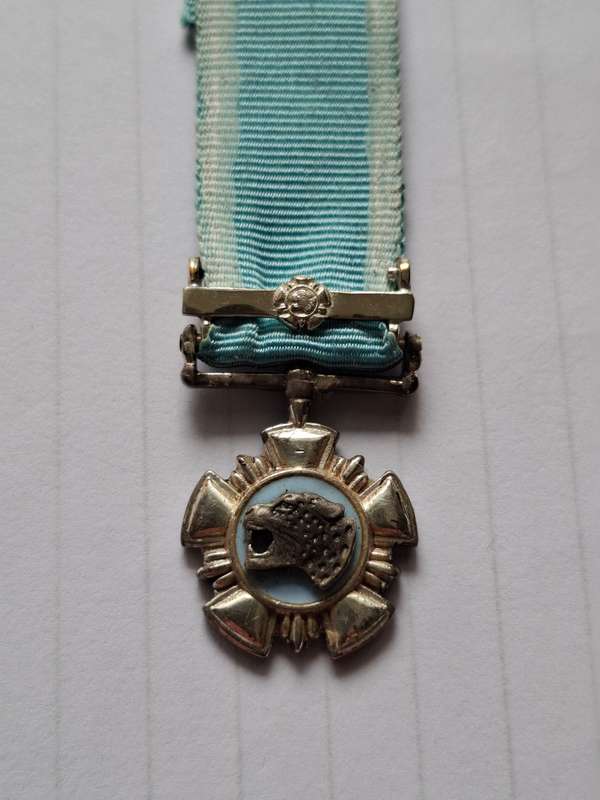 SADF - Silver Leopard for Bravery  - miniature