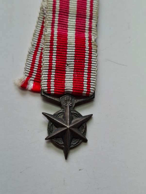 SAP - Prevention of terrorism medal - miniature
