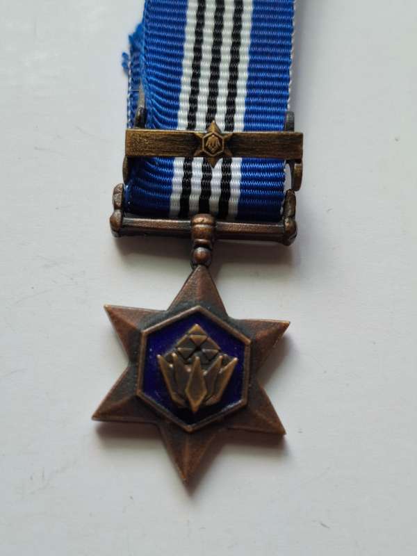 SADF - Bronze Protea - miniature