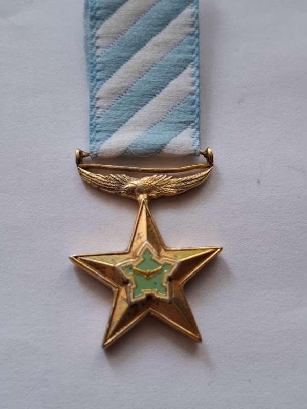 SADF - Ad Astra decoration - miniature