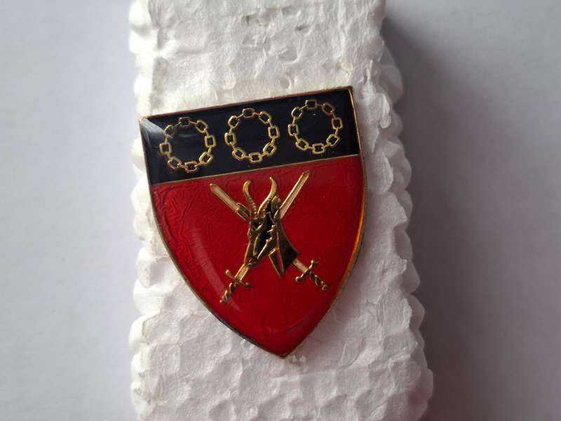 SADF - Logistics Command FOB metal flash (all pins)