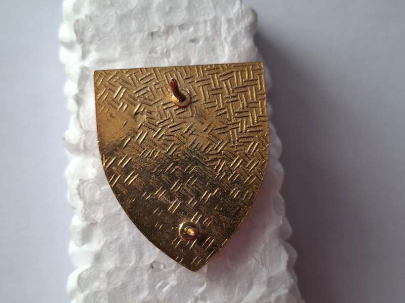 SADF - 11 Field Engineer Squadron FOB metal flash (all pins)