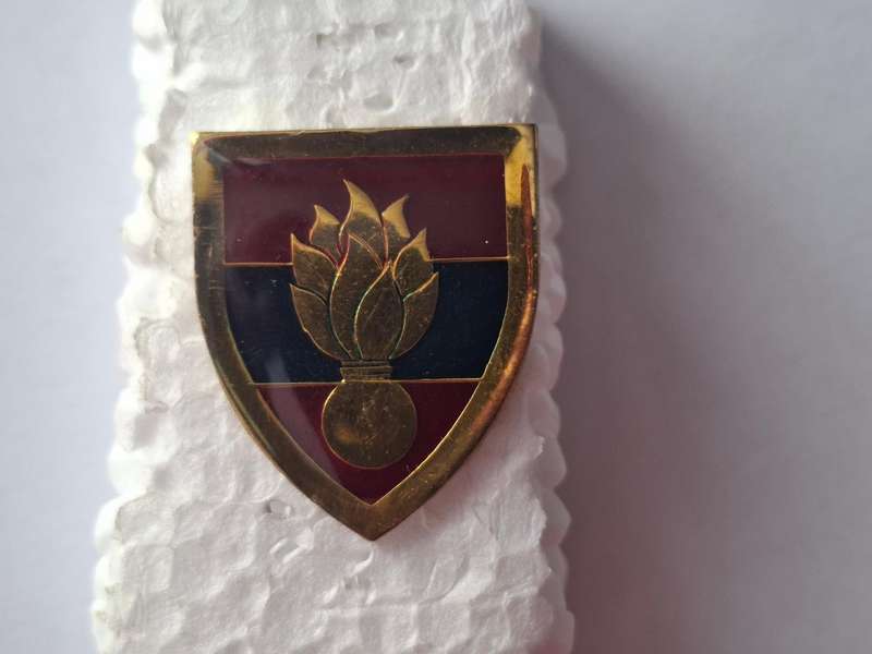 SADF - School of Engineers FOB metal flash (all pins)