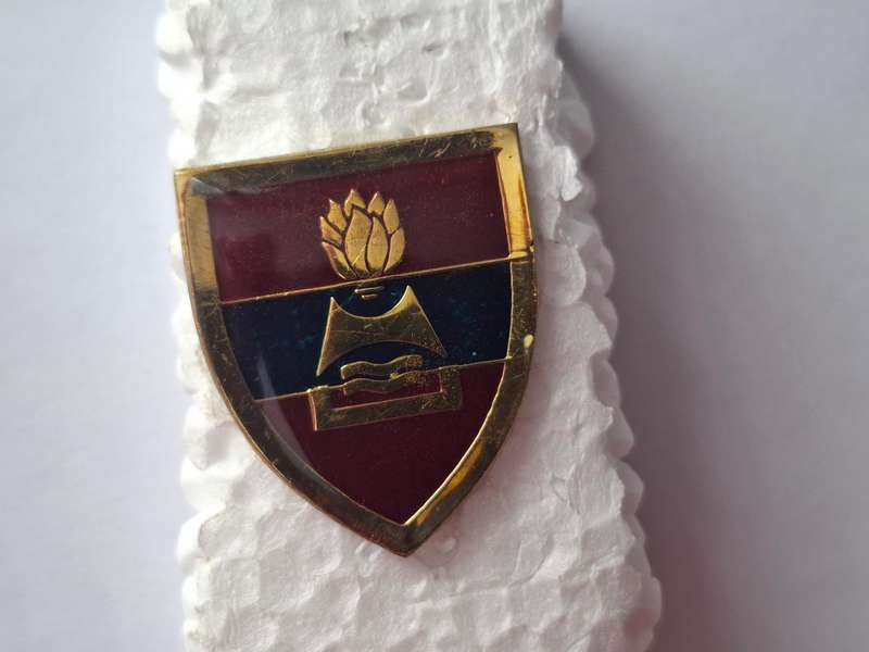 SADF - 2 Field Engineers Regiment FOB metal flash (all pins)