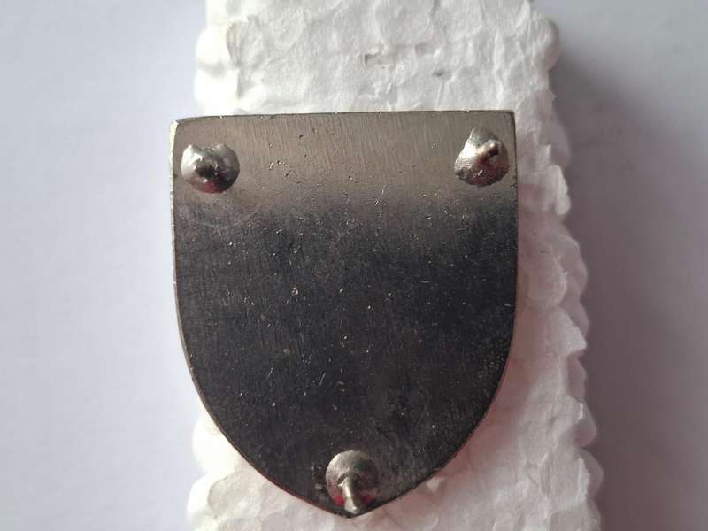 Spoornet FOB metal flash (all pins)