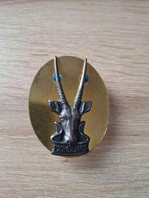SWATF Cap / Beret badge (Metal)