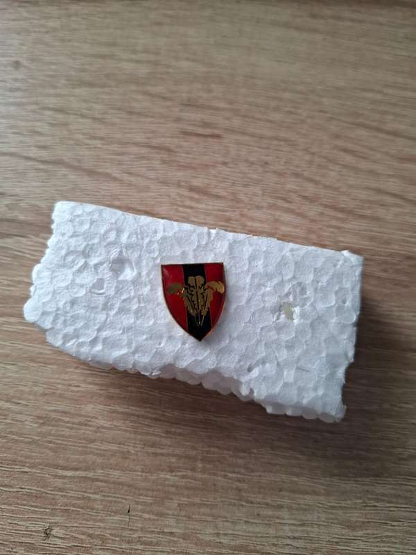 SADF - Southern Cape Command cravat pin?