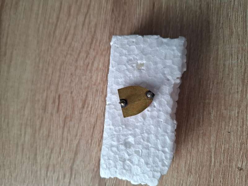 SADF - Southern Cape Command cravat pin?