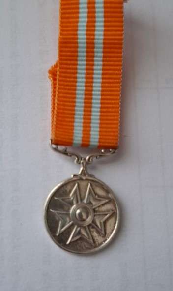 SADF - Pro Virtute medal - miniature