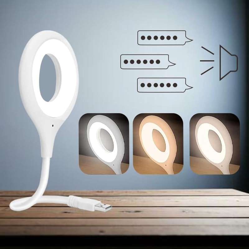 Intelligent Voice Control USB Lamp