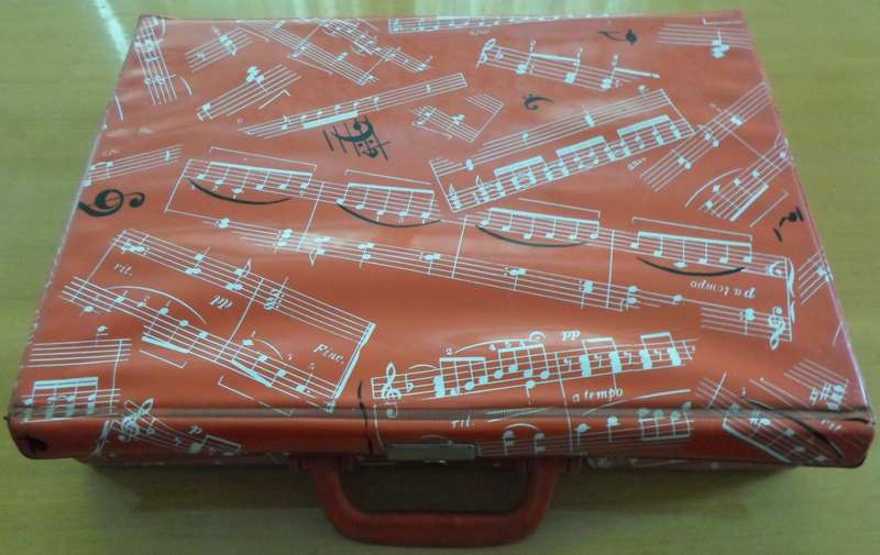 Cassette Carry Case