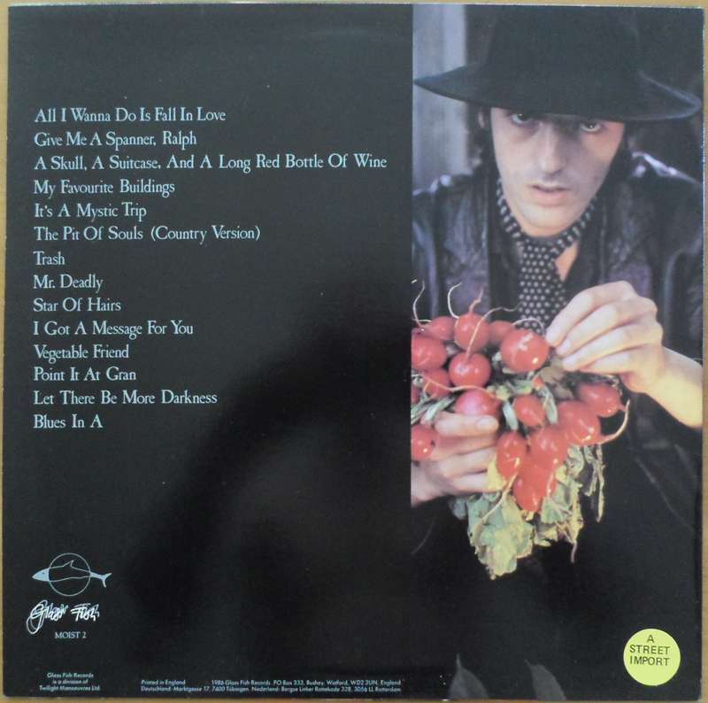 Robyn Hitchcock - Invisible Hitchcock