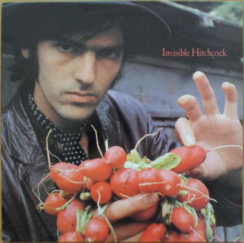Robyn Hitchcock - Invisible Hitchcock